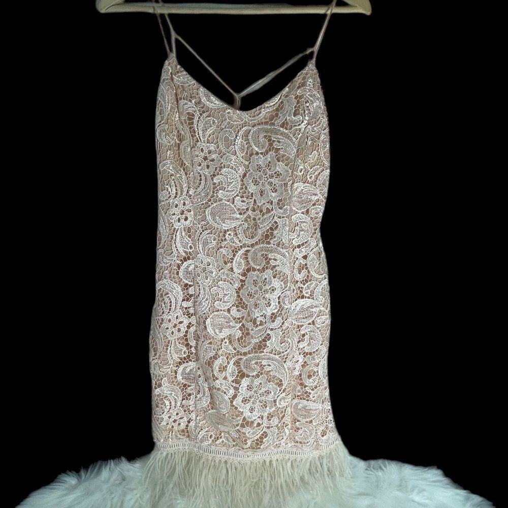 Minuet Petite Pale Peach/Pink Lace And Ostrich Feather Flapper Style Dre…